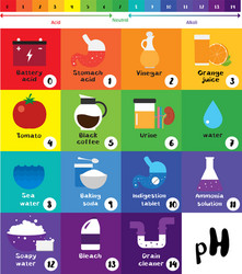 ph scale universal indicator color chart vector image