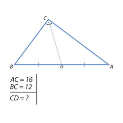 task of finding the hypotenuse and second vector image