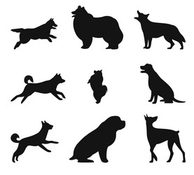 set of dog silhouettes black decorative icons Vector Image