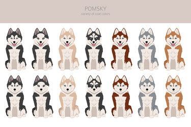 Pomsky clipart pomeranian husky mix different Vector Image