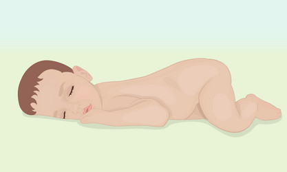 Newborn baby lying vector