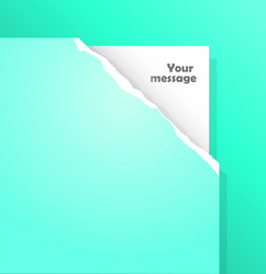 torn paper with place for your own text vector image