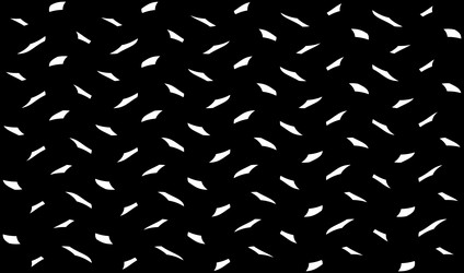 rectangular format net trellis web pattern vector image