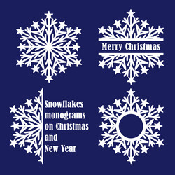 Snowflake and three types of monogram from one vector