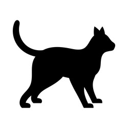 Cat icon design template vector