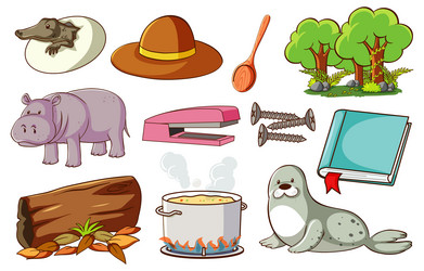 set of various animals and objects vector