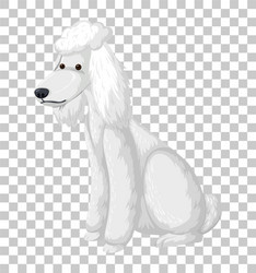 Doggy Position Vector Images (over 4,700)
