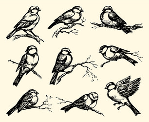 Tits Vector Images (over 3,000)