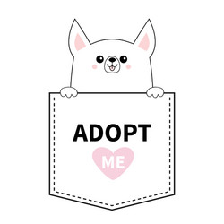 Adopt me chihuahua dog in pocket holding paws vector