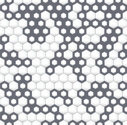 Irregular Hexagonal Pattern vector image