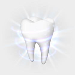 White shining human tooth dental medical Vector Image