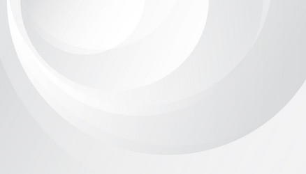 abstract white background with lines curve vector image