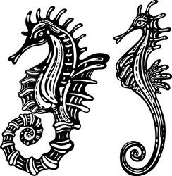 ornamental decorative sea horse isolated vector