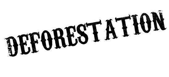 Rubber Plantation Stamp Vector Images 60