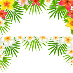 Tropical Floral Border Vector Image