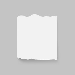 torn sheet of white paper with shadow vector image
