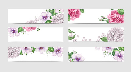 Watercolor Rose Floral Banner Vector Image