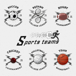 Sports Team Elements Vector Image