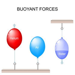 Static Electricity Experiments With Two Balloons Vector Image