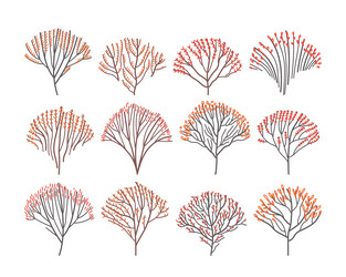 set of autumn deciduous trees in line art style vector image