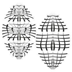 abstract sphere patterns geometric wireframe vector image