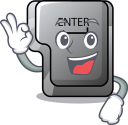 okay button enter on a keyboard character vector image