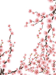 Delicate Pink Sakura Blossoms Frame Vector Image