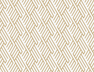 geometric seamless pattern with line modern vector image