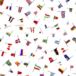 Seamless Flag Pattern vector image