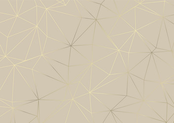 abstract low poly pattern design in metallic god vector image