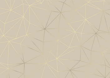 abstract low poly pattern design in metallic god vector