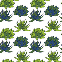 abstract seamless pattern with succelents vector image