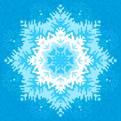 Frosty Snowflake Pattern vector image
