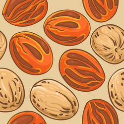 nutmeg nuts pattern on color background vector