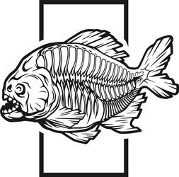Skeletal Piranhas Vector Image
