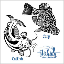catfish and carp fishing on usa isolated white Vector Image