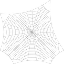 spiderweb isolated on white background outline vector image