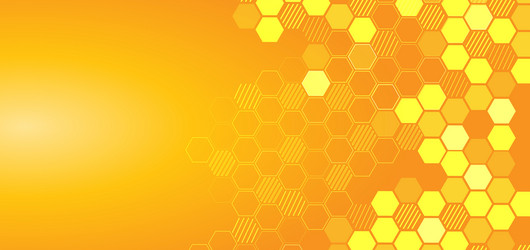 abstract hexagon lines pattern on yellow vector