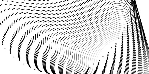 black and white curved lines create dynamic design vector image