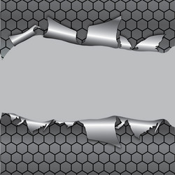 Hexagon metal background Royalty Free Vector Image