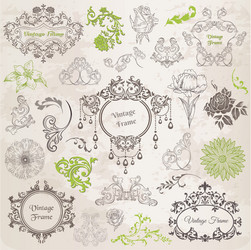 Calligraphic design elements vintage set Vector Image