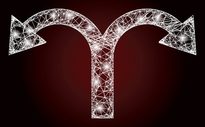 bright net mesh bifurcation back arrow with glare vector image