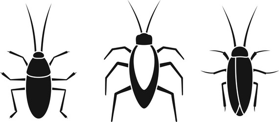 cockroach insect icons set simple style vector image
