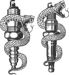 Snake on car spark plug design element for poster vector