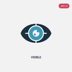 two color visible icon from user interface vector image