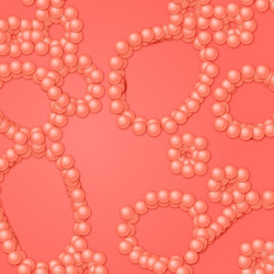array of spheres with soft shadows vector image