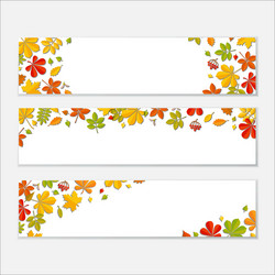 Horizontal banner set with autumn falling leaf vector