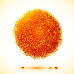 Fluffy orange ball with autumn leaves vector