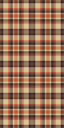 calm texture pattern tartan mexican background vector image