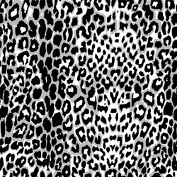 Leopard Print Seamless Pattern vector image